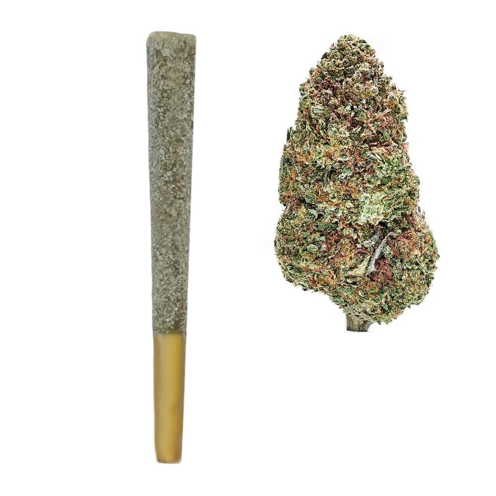 King Louis Prerolls