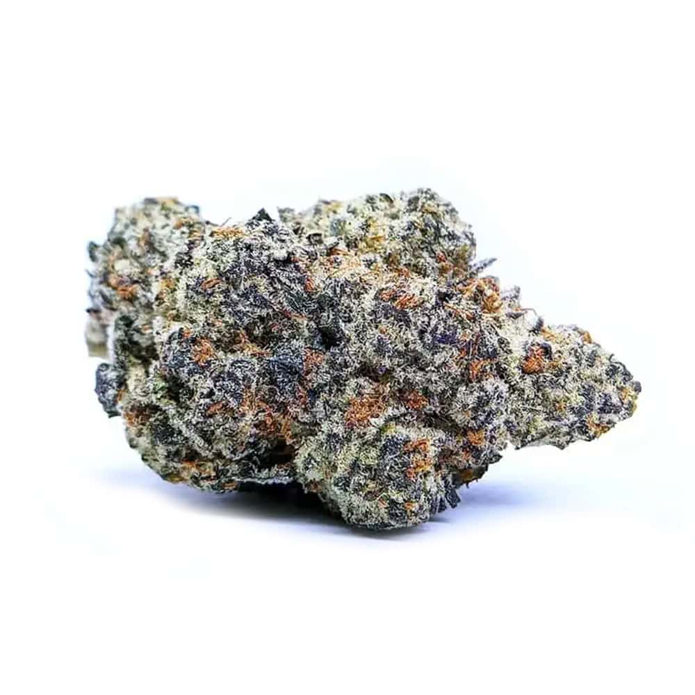 Orange Apricot THCA Flower