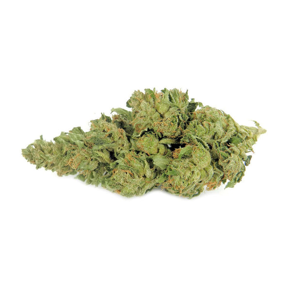 White Kush THCA Flower Pounds