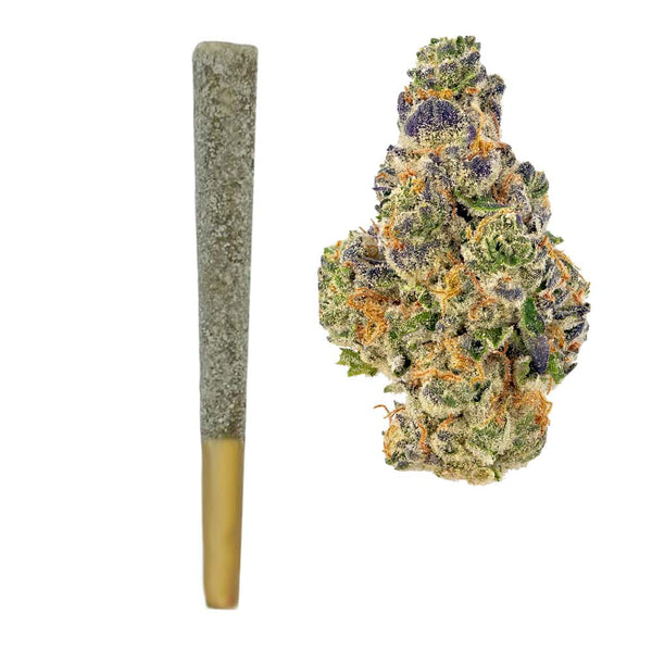 Jack Herer Prerolls