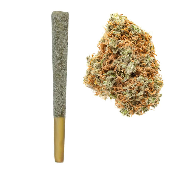 Sugar Plum Prerolls