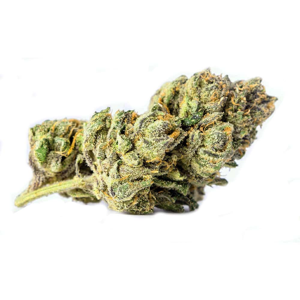 Purple Zkittlez THCA Flower