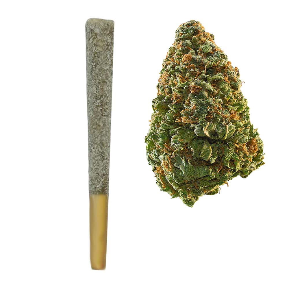 Northern Lights Prerolls