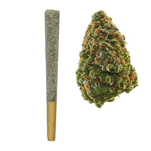 Northern Lights Prerolls