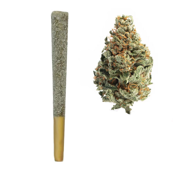 Bacio Gelato Prerolls